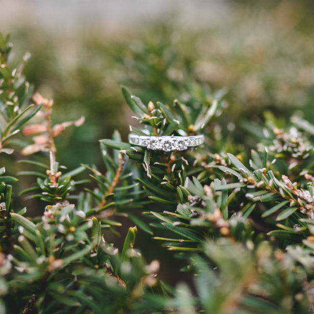 past present future ring on pine branch