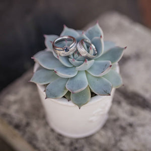 simple sapphire ring on succulent
